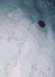 Check spelling or type a new query. Bloody Knife In Hand Gifs Tenor
