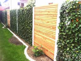 17 Blickdichter Sichtschutz Fur Maschendrahtzaun Sichtschutzterasse Fence Design Backyard Front Garden