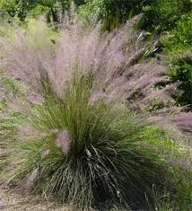Pin On Garden Design
