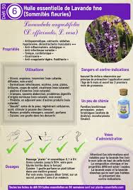Huile Essentielle De Lavande Fine Lavandula Angustifolia Proprietes Et Utilisation Sans Danger Huiles Essentielles Huile Essentielle Menthe Poivree Huile Essentielle De Romarin