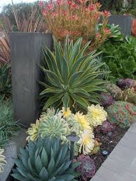 How To Grow Orchids Idees Jardin Amenagement Jardin Deco Jardin