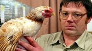 Rassegeflügelausstellung: Rassegeflügelausstellung: 97 Punkte für fast  perfektes Huhn