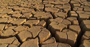 مسؤولة أممية التصحر سيؤدي إلى صراعات جديدة الخليج أونلاين