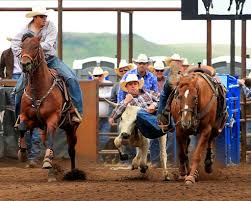 110 doggers compete in Christopherson memorial event