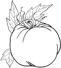 Tomate Vegetable Coloring Pages Food Coloring Pages Pumpkin Coloring Pages