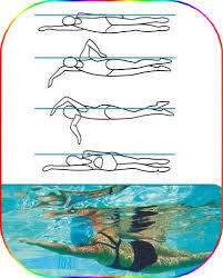 Swimming Freestyle Drills Teaching And Coaching