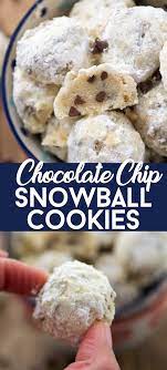 Chocolate Chip Snowball Cookies Crazy For Crust Recipe Cookies Recipes Christmas Easy Cookie Recipes Cookies Recipes Chocolate Chip