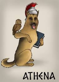 This is a list of individual famous actual dogs; 101 Greek Goddess Names That Make Epic Female Dog Names Pethelpful