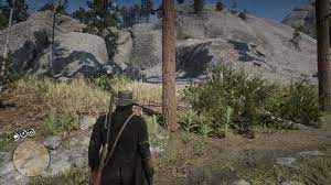 Find all required items in rdr2 and complete all red dead redemption 2 companion item requests using our video game guide, hints and walkthroughs. The Strange Statue Puzzle Red Dead Redemption 2 Wiki Guide Ign