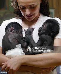 33,304 Kena Stock Photos, High-Res Pictures, and Images