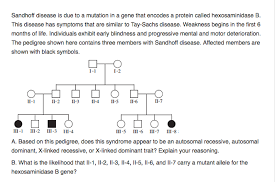 Solved Sandhoff Disease Is Due To A Mutation In A Gene Th