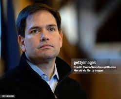 37 Hollis Hope Stock Photos, High-Res Pictures, and Images