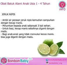 Pin By Ain Wahid On Food Of Minds Jeruk Nipis Buah Manis