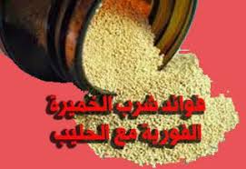 فوائد شرب الخميرة الفورية مع الحليب Blog Posts Food Blog