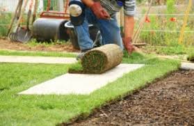 Laying sod is a traditional and reliable way to transform your yard into something amazing, but it requires care. Caring For New Sod After Installation