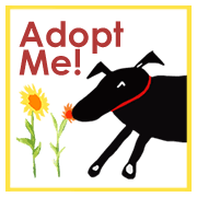 Please click ok below and a new tab will open where you can sponsor a pet's care. Pet Tails Rescue Home Facebook
