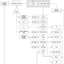 Example Of An Overall Dairy Farm Production Process Diagram