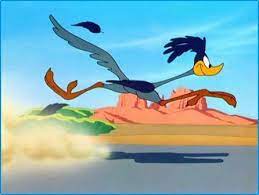 Roadrunner Cartoon Classic Cartoon Characters Looney Tunes Characters Classic Cartoons