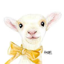 Animal Art Easter Drawings Sheep Drawing