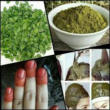 Arabic german english spanish french hebrew italian japanese dutch polish portuguese romanian russian turkish chinese. Daun Inai In English