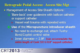 Please expect a delay when contacting customer support at 1.800.457.4500 or customersupport@cookmedical.com. Peripheral Arterial Disease Critical Limb Ischemia Pedal Approach