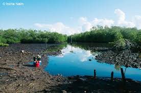 Tanggalan mancing akurat untuk semua daerah ! Teori Pasang Surut Memahami Waktu Terbaik Untuk Memancing