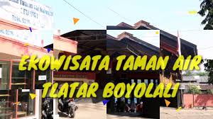 Taman air tlatar sebagai tempat wisata boyolali ini banyak menyediakan fasilitas, taman wisata, kolam renang, kios cindera mata, pemancingan, dan beberapa. Ekowisata Taman Air Tlatar Boyolali Youtube