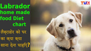 Labrador Homemade Food Diet Chart Dog Tips Tuc Xeanco Blog