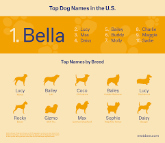 From creepy movies to spooky and mysterious tv shows to classic literature, the arts are ripe with characters who have scared and thrilled us over the jessi is a marketing strategist for fortune 50 companies who loves to research and write about pets. Cute Pet Names For Dogs Pet S Gallery