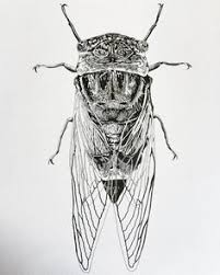 Maybe you would like to learn more about one of these? Cecilia Dahllof Cdahllf Profil Pinterest