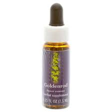 Goldenrod Flower Essence Flower Essence Services