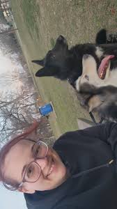 Lost dogs Kylo and Luna in Bartlesville area after storm