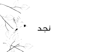 معنى اسم نجد وهل يمكن تسمية الإناث بإسم نجد وصفاته زيادة
