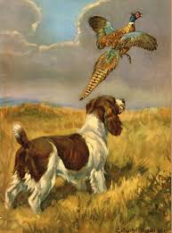 1950s Antique Springer Spaniel Dog Print Vintage Pheasant Ar 1950s Antique Springer Spaniel Dog Print Vintage Pheasant In 2020 Spaniel Art Hunting Art Dog Paintings