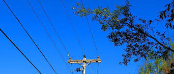 Je ne connais pas la tension de cette ligne mais un assemblage identique se trouve pas loin de chez moi, audible nettement à plus de cinquante mètres. Pour Effectuer Une Demande D Entretien Des Arbres