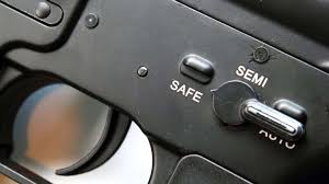 Image result for Gun Safety