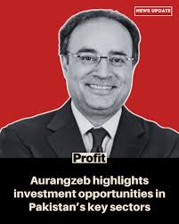 Meeting between Maritime Affairs Minister Junaid Anwar Chaudhry and  Egyptian envoy Dr. Ihab Hassan focuses