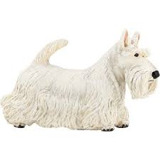 Image result for skotský teriér