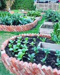 Suburban Existence Melbourne S Instagram Post For Those More Recent Follower Vegetable Garden Design Vegetable Garden Layout Design Garden Layout Vegetable