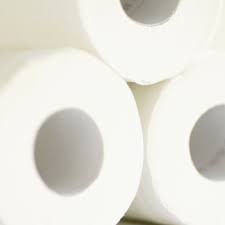 Some things don't make it into the blockbuster disaster movies we may know, love, or just plain worry about. Toilet Paper Icebreaker Games