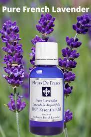 Pure French Lavender Essential Oil Fleurs De France French Lavender Essential Oil Lavender Essential Oil Pure Lavender Oil