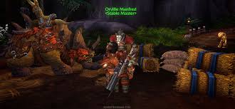 What do pets do in pillars of eternity? The 20 New Pets I M Taming In Warlords Of Draenor Eyes Of The Beast