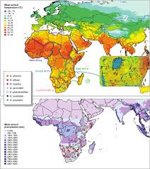 Image result for Gisekiaceae