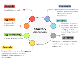 Image result for Drug-Induced Olfactory Dysfunction