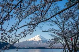 Visiting Lake Kawaguchiko To See Mount Fuji Everything You Need To Know
