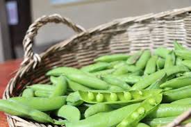 We did not find results for: Taccole Proprieta Benefici E 5 Ricette