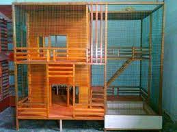 Papan sirip kayu yang dipakai untuk tempat sarang walet mudah 7 jenis kucing persia terlengkap di indonesia 16 march 2021. 40 Desain Rumah Kucing Dari Kayu Minimalis Rumah Kucing Desain Renovasi