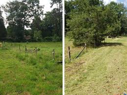 It takes a special person to be an organic land care pioneer. Jt Landscape Organic Lawn Care Environmentally Friendly Lawn Care