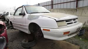 Image result for Raspberry 1991 Shadow