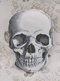 Maybe you would like to learn more about one of these? Tete De Mort